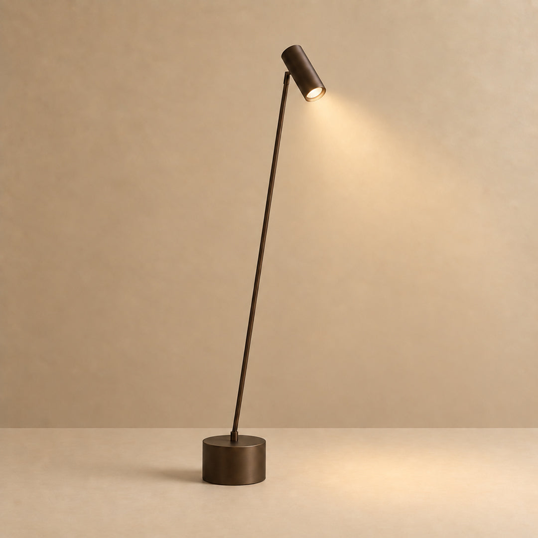 Tern Task Floor Lamp with the light on