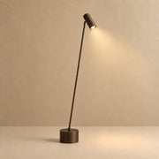 Tern Task Floor Lamp with the light on