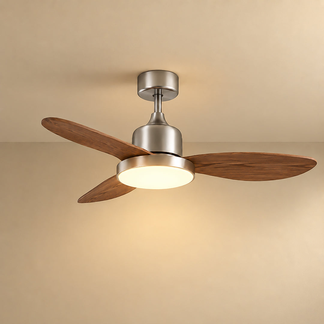 Lenora ceiling fan with light — light on